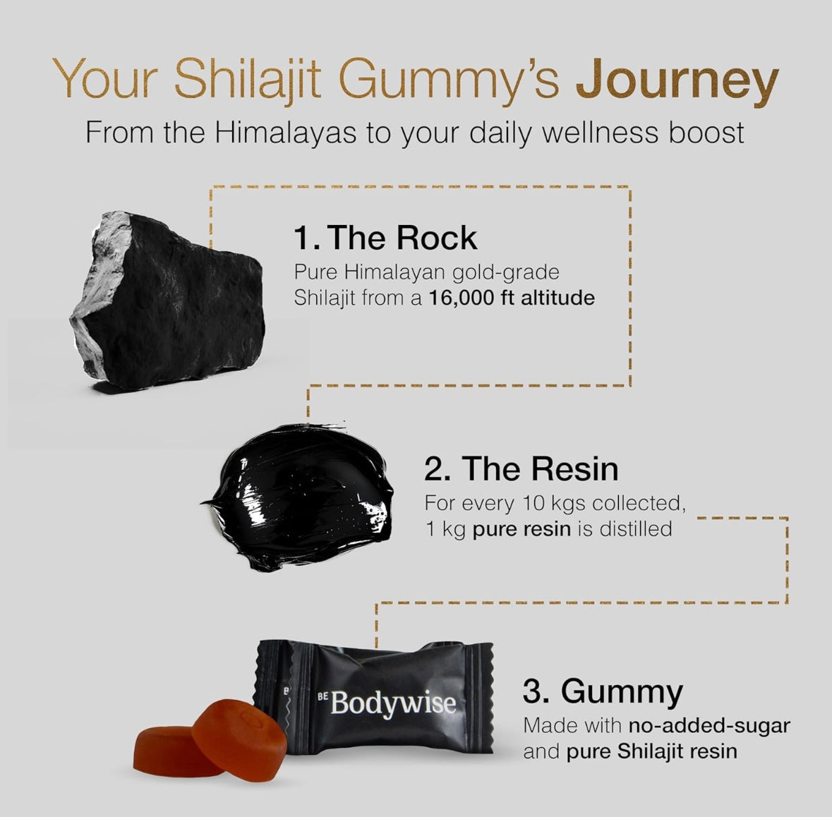 Shilajit 3000 mg 60 gomas - BE Bodywise TM