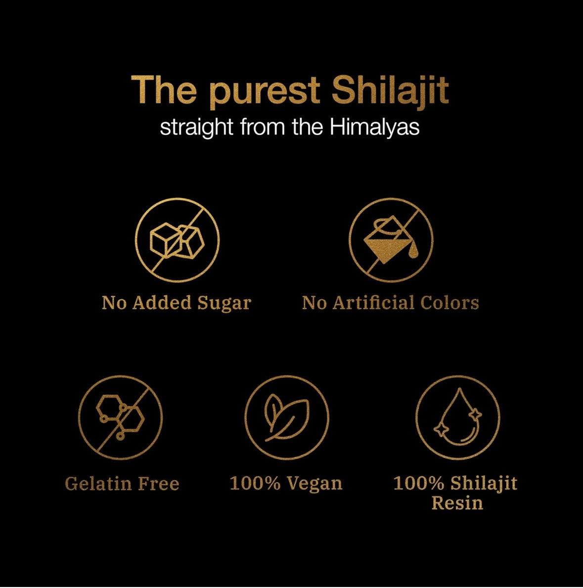 Shilajit 3000 mg 60 gomas - BE Bodywise TM